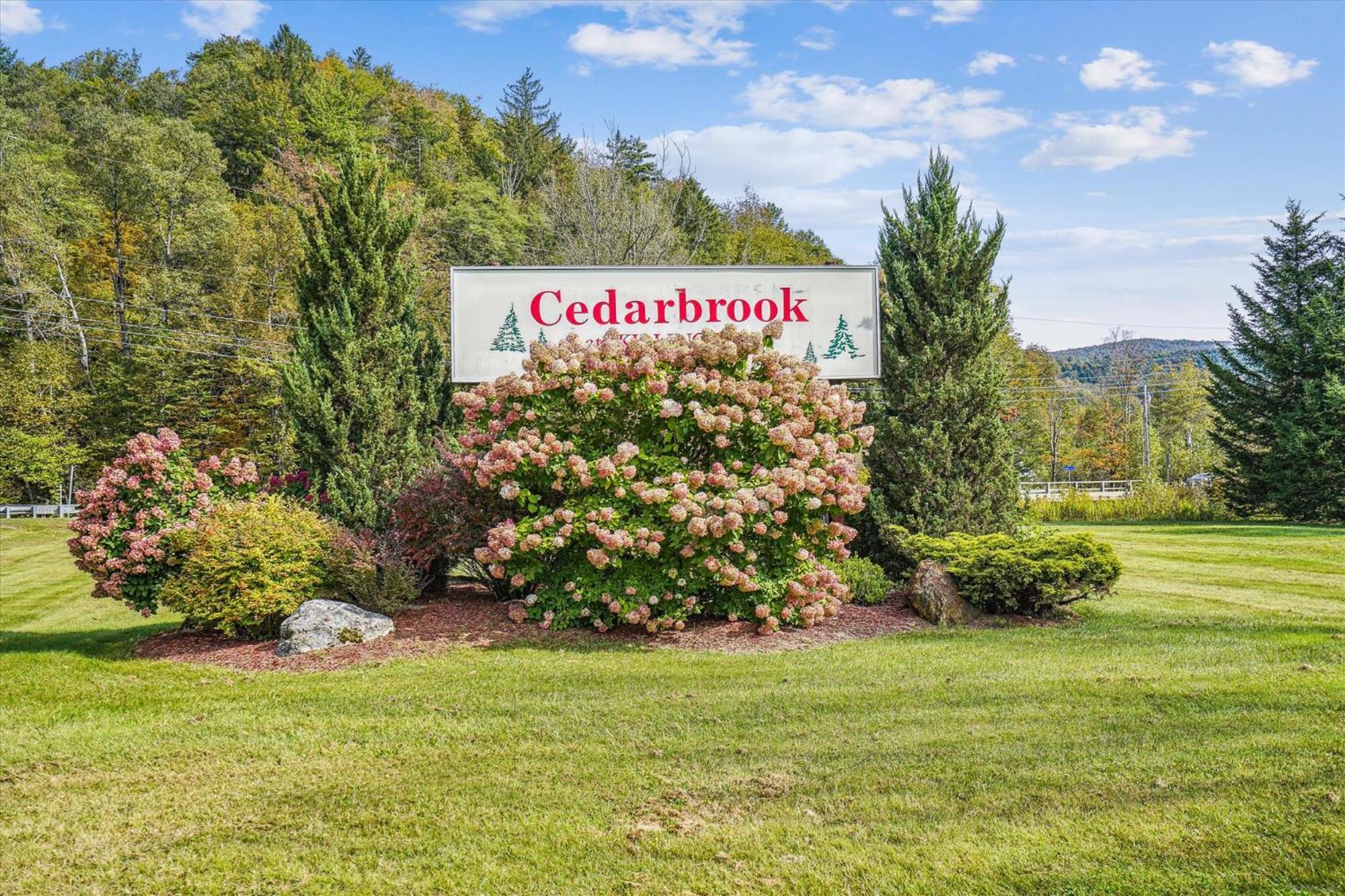 Cedarbrook Queen Suite 203 كيلنغتون المظهر الخارجي الصورة